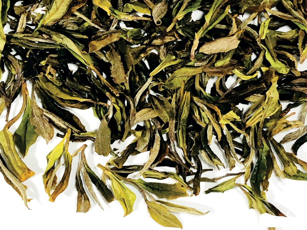 ქართული ჩაი შემოქმედი